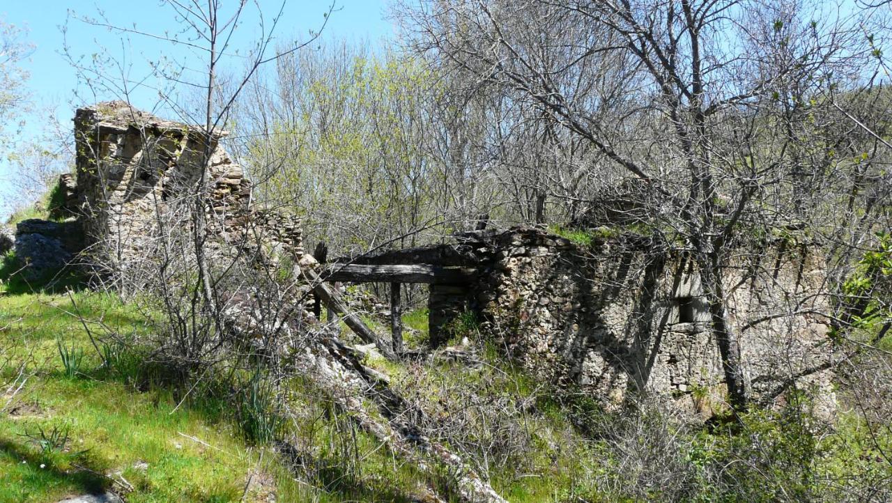 El Huerto De Leon Villa Pradena del Rincon Eksteriør bilde