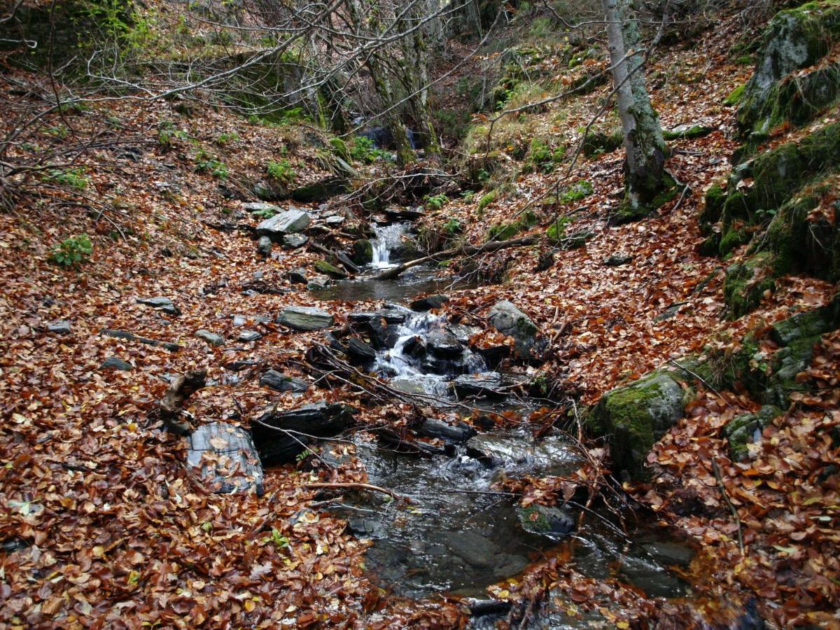 El Huerto De Leon Villa Pradena del Rincon Eksteriør bilde
