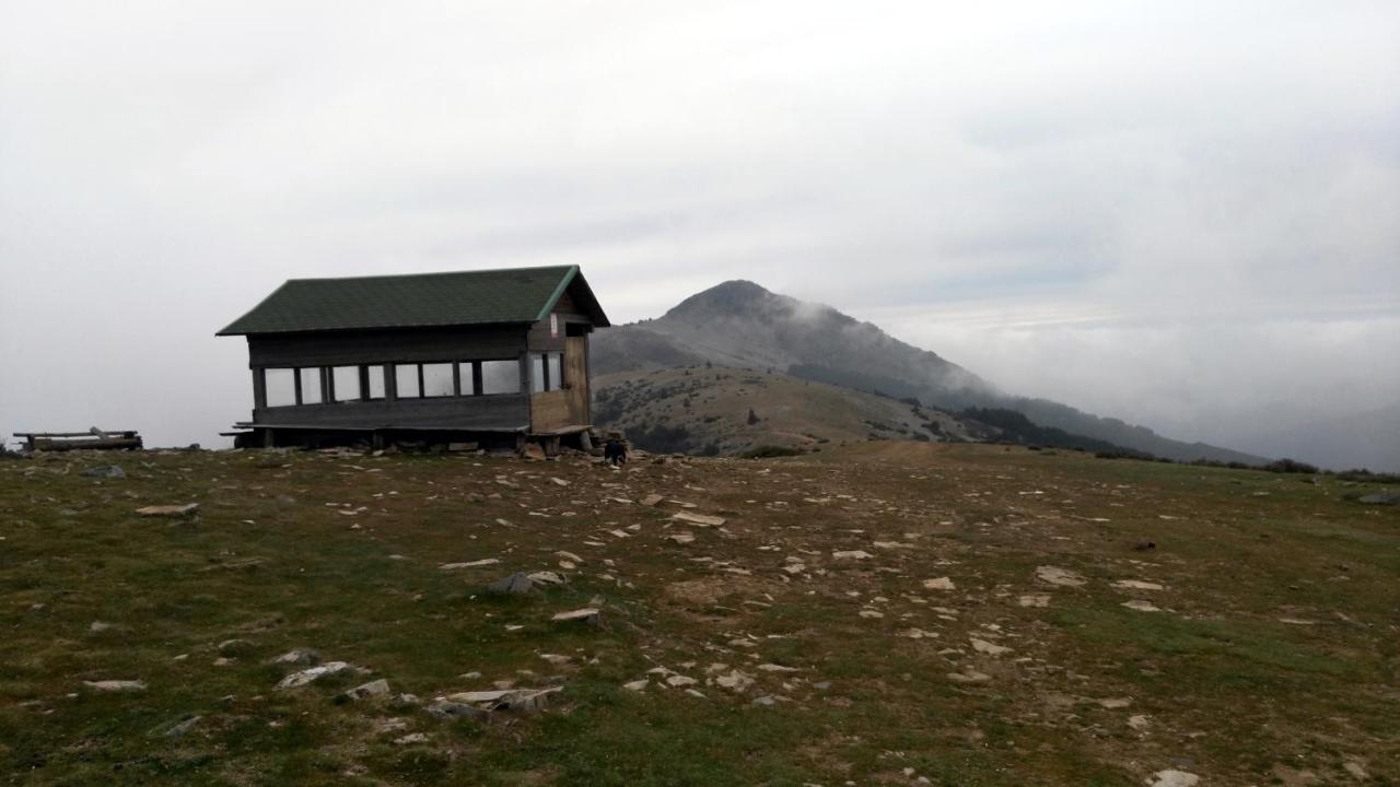 El Huerto De Leon Villa Pradena del Rincon Eksteriør bilde
